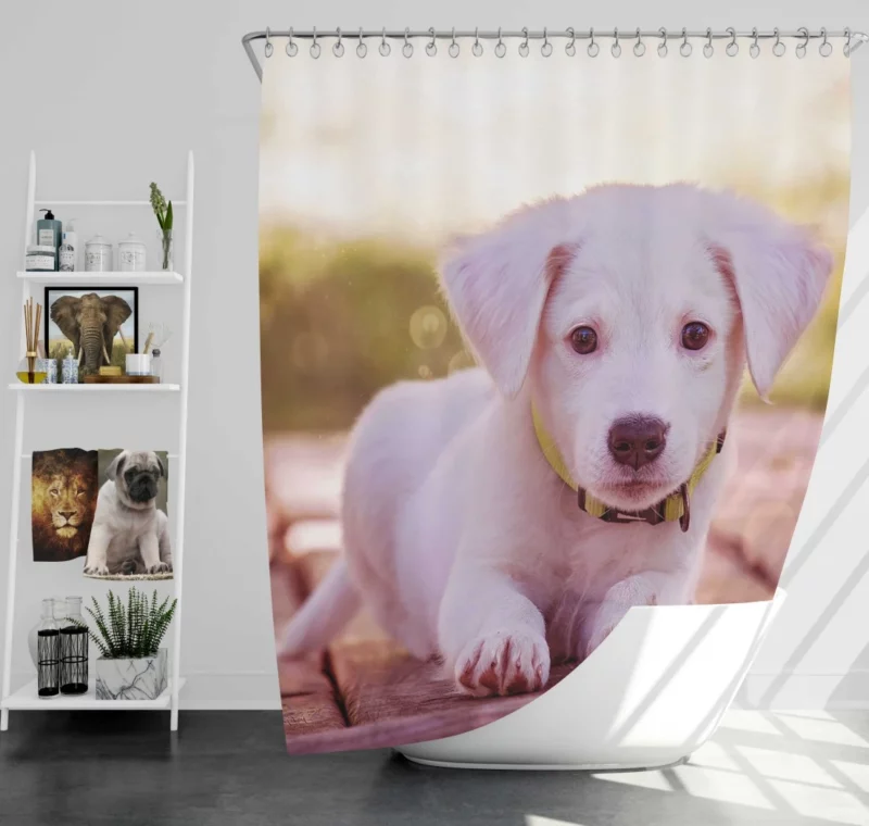 Playful Puppy Charming Innocence Shower Curtain