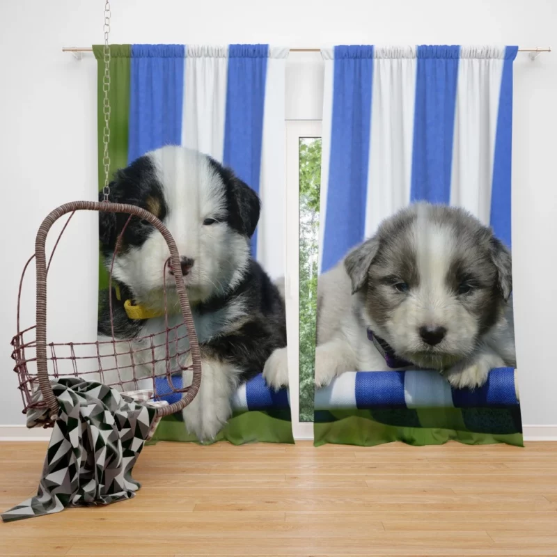 Playful Puppy Innocent Charm Curtain