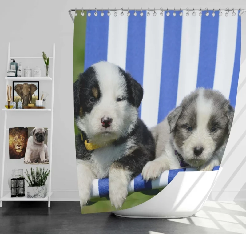 Playful Puppy Innocent Charm Shower Curtain