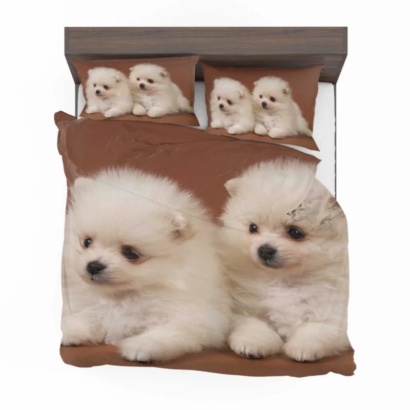 Playful Puppy Pomeranian Joy Bedding Set 1