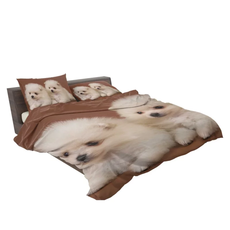 Playful Puppy Pomeranian Joy Bedding Set 2