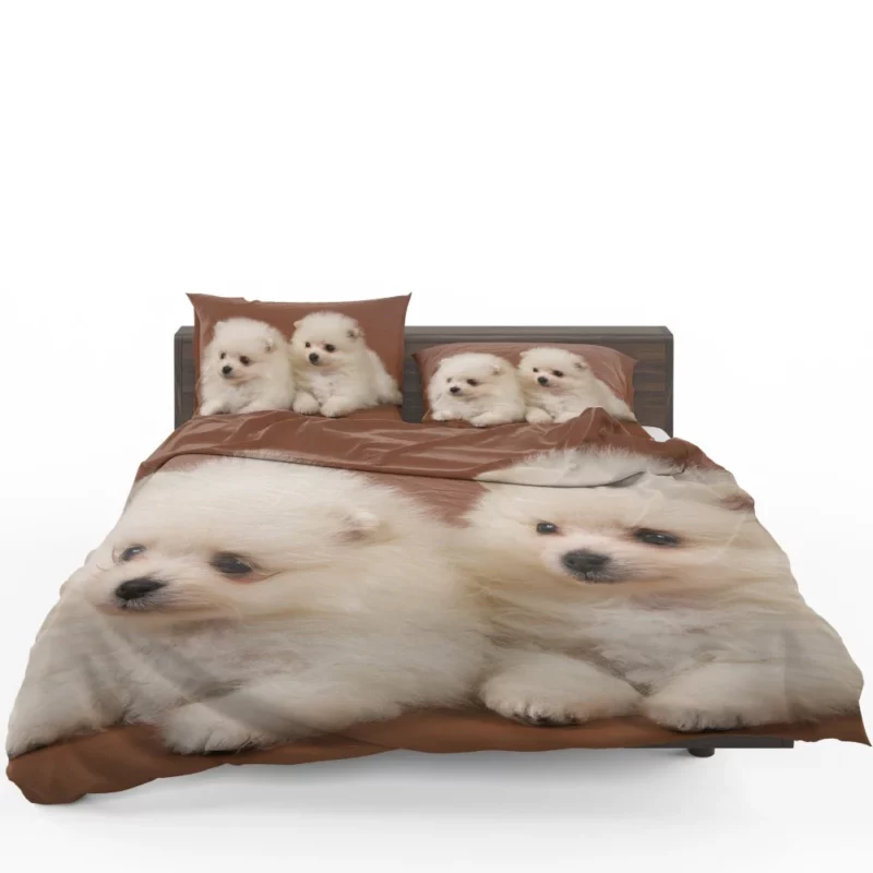 Playful Puppy Pomeranian Joy Bedding Set