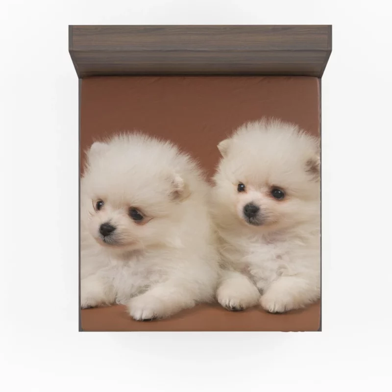 Playful Puppy Pomeranian Joy Fitted Sheet 1