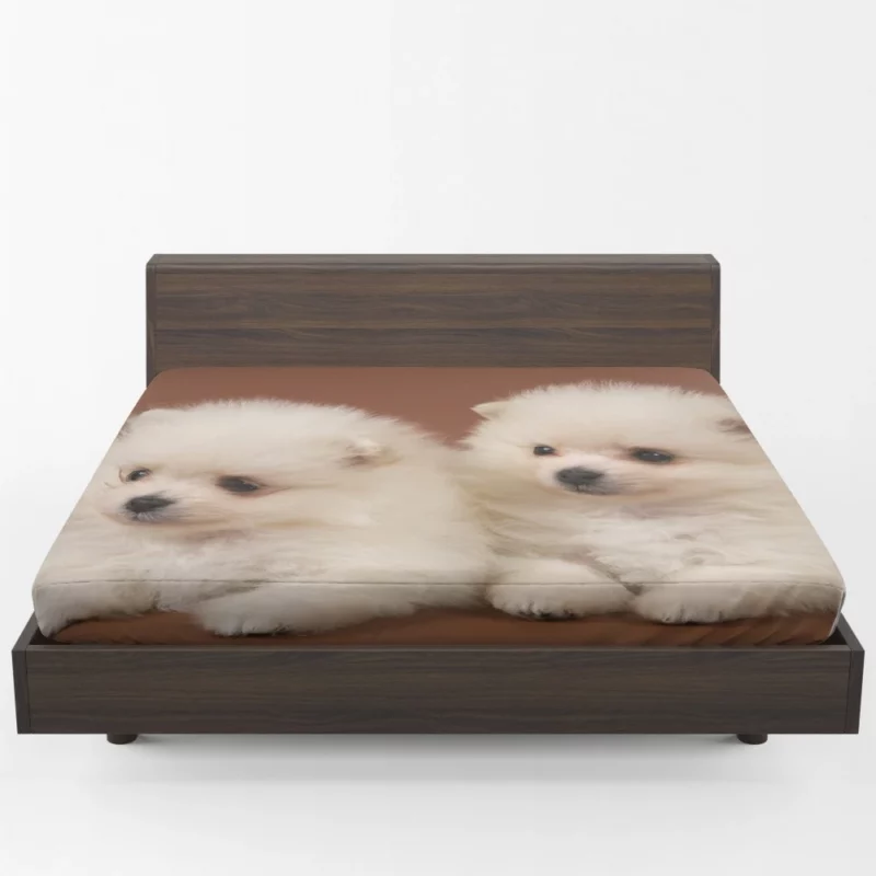 Playful Puppy Pomeranian Joy Fitted Sheet