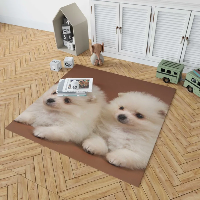 Playful Puppy Pomeranian Joy Rug 1