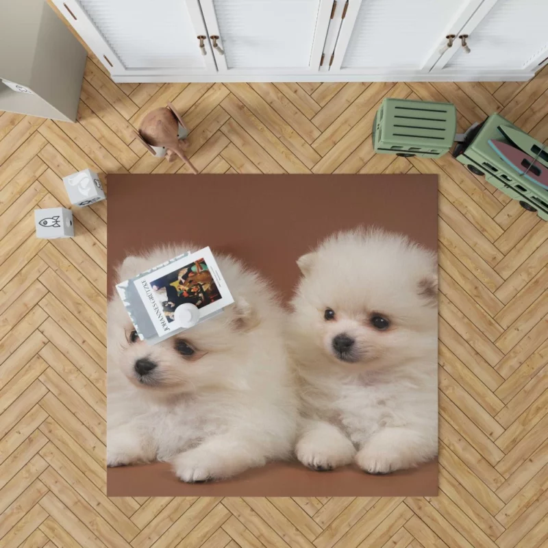 Playful Puppy Pomeranian Joy Rug