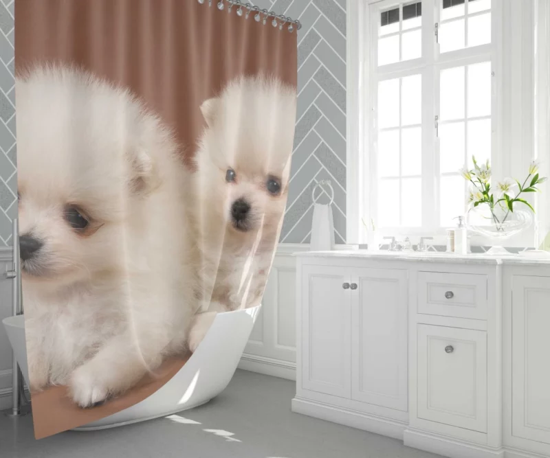 Playful Puppy Pomeranian Joy Shower Curtain 1