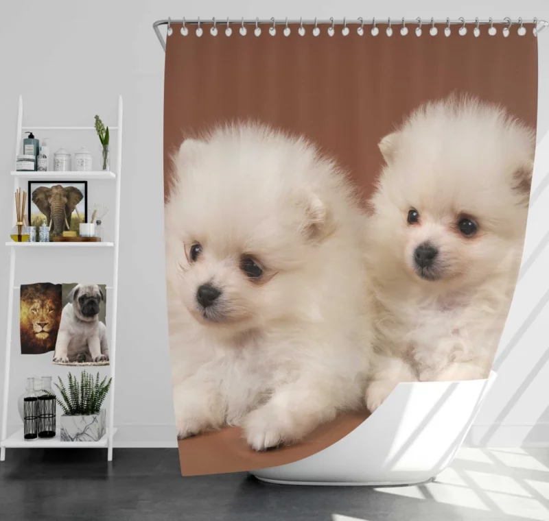 Playful Puppy Pomeranian Joy Shower Curtain