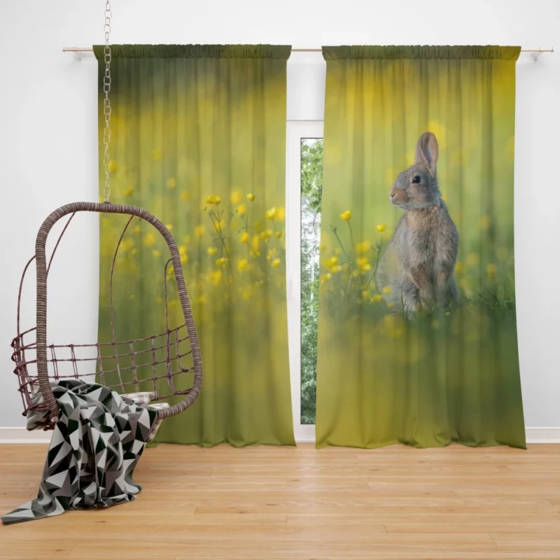 Playful Rabbit Amidst Yellow Beauty Curtain