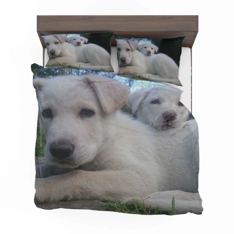 Playful Swiss Shepherd Pups Lively Energy Bedding Set 1