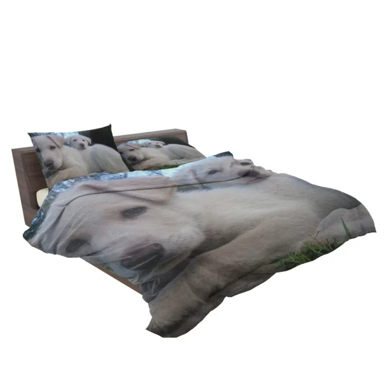 Playful Swiss Shepherd Pups Lively Energy Bedding Set 2