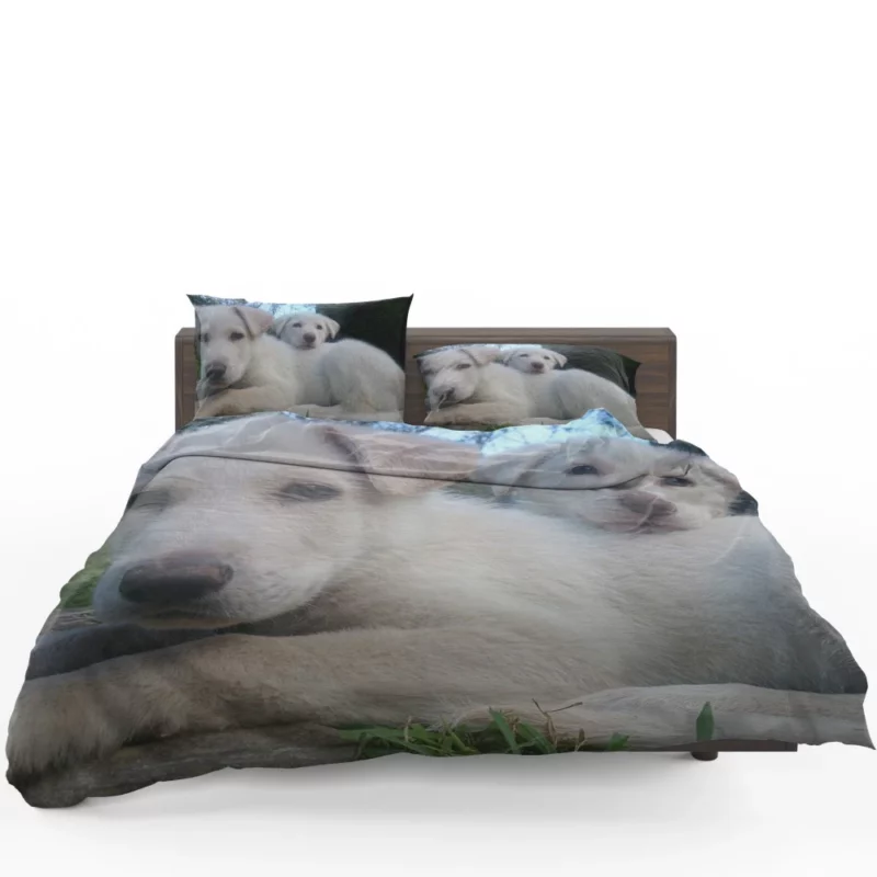 Playful Swiss Shepherd Pups Lively Energy Bedding Set