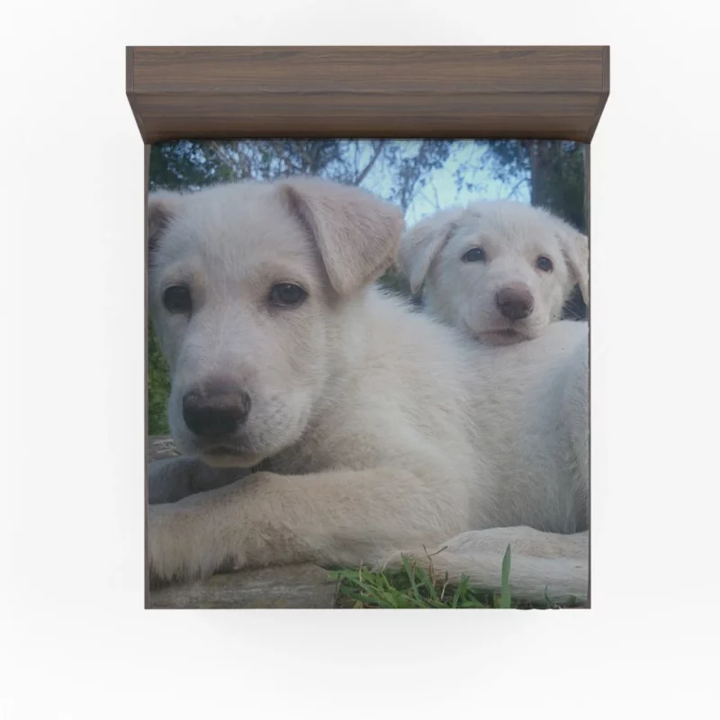 Playful Swiss Shepherd Pups Lively Energy Fitted Sheet 1