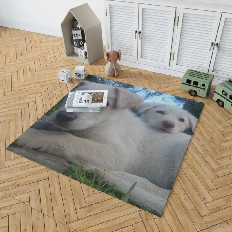 Playful Swiss Shepherd Pups Lively Energy Rug 1