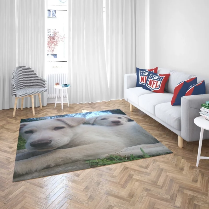 Playful Swiss Shepherd Pups Lively Energy Rug 2