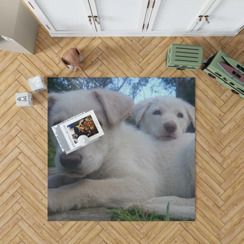 Playful Swiss Shepherd Pups Lively Energy Rug