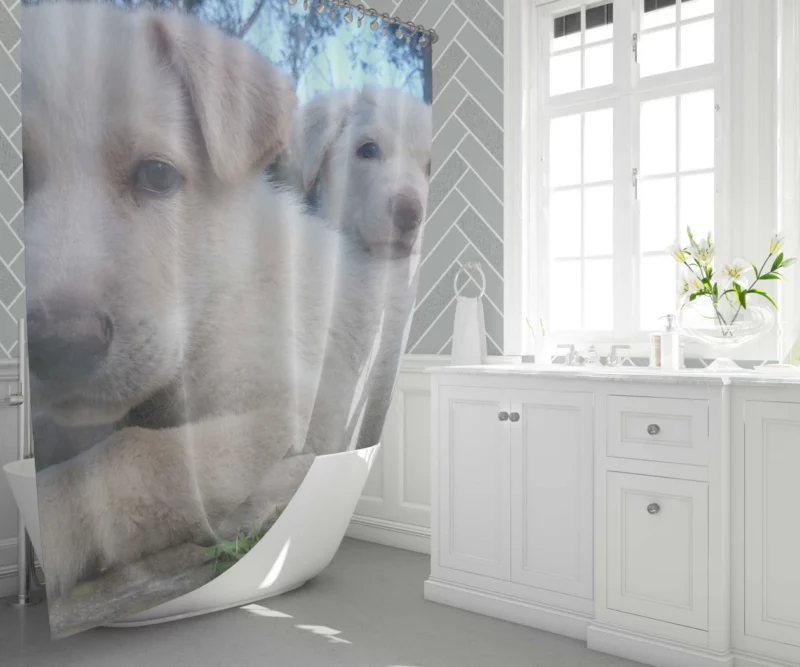 Playful Swiss Shepherd Pups Lively Energy Shower Curtain 1