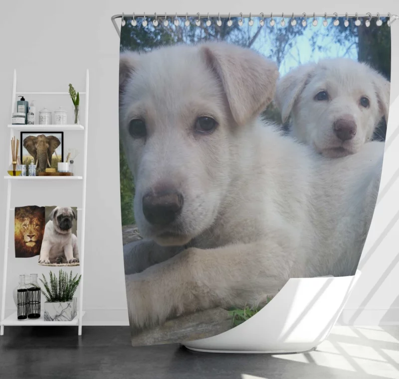 Playful Swiss Shepherd Pups Lively Energy Shower Curtain