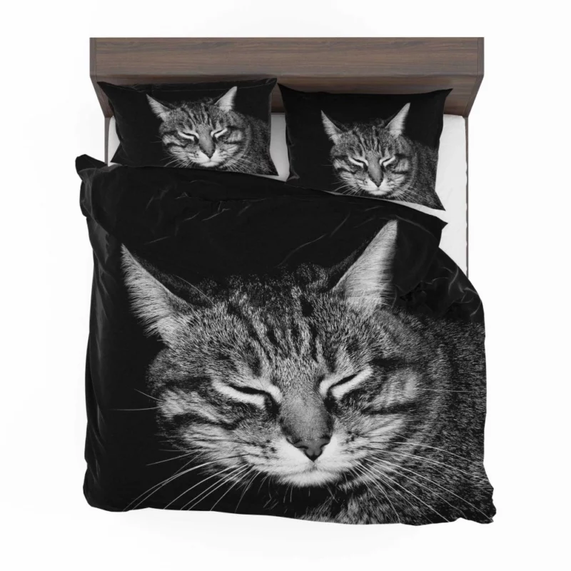 Playful Tabby Feline Joy Unveiled Bedding Set 1