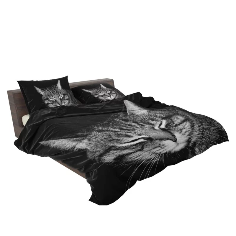 Playful Tabby Feline Joy Unveiled Bedding Set 2