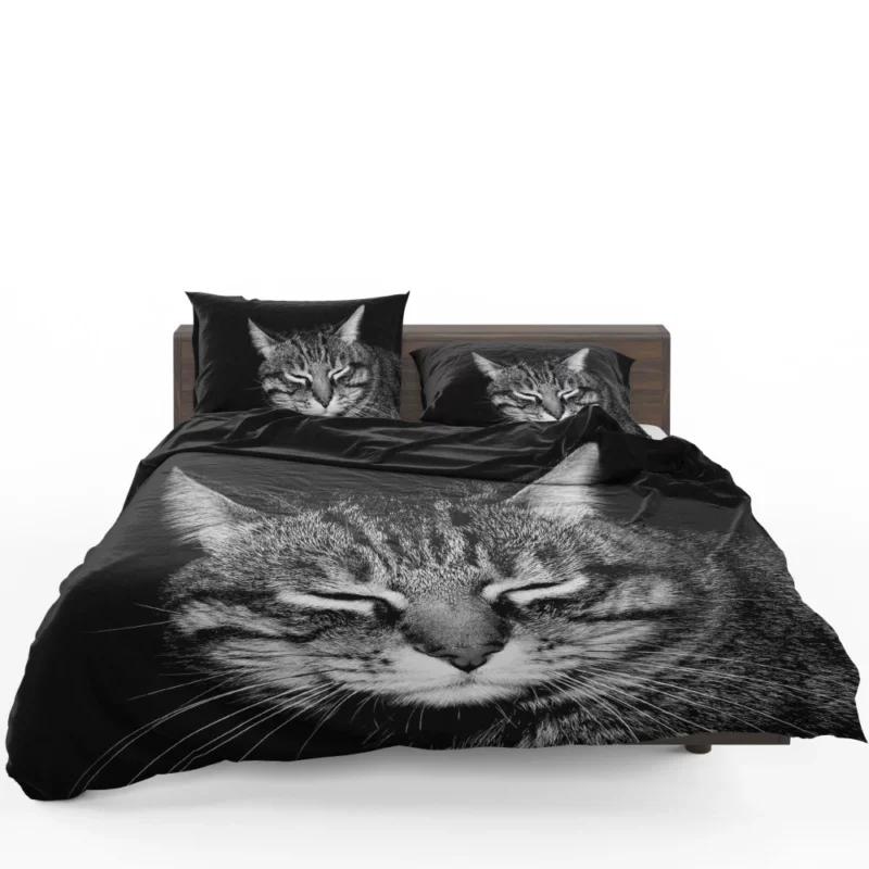 Playful Tabby Feline Joy Unveiled Bedding Set