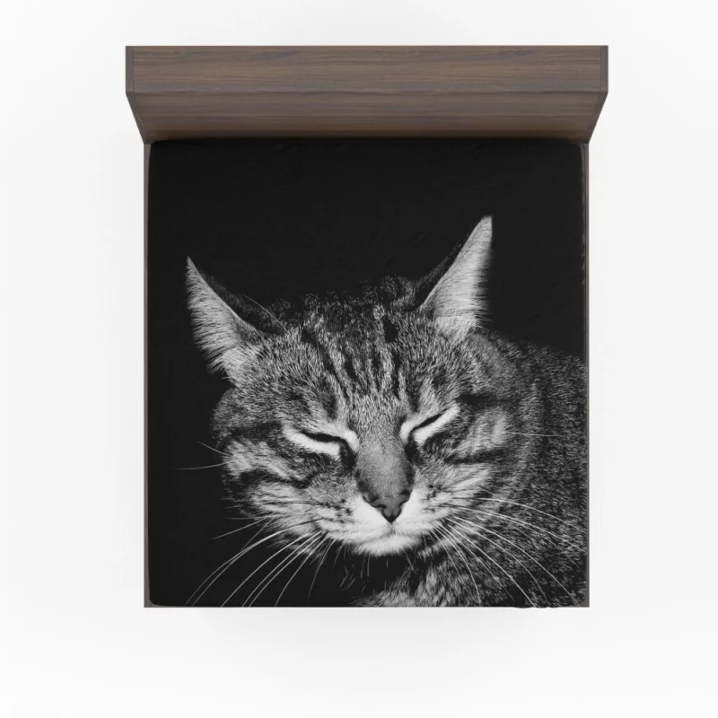 Playful Tabby Feline Joy Unveiled Fitted Sheet 1