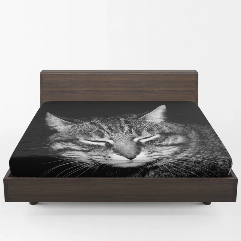 Playful Tabby Feline Joy Unveiled Fitted Sheet