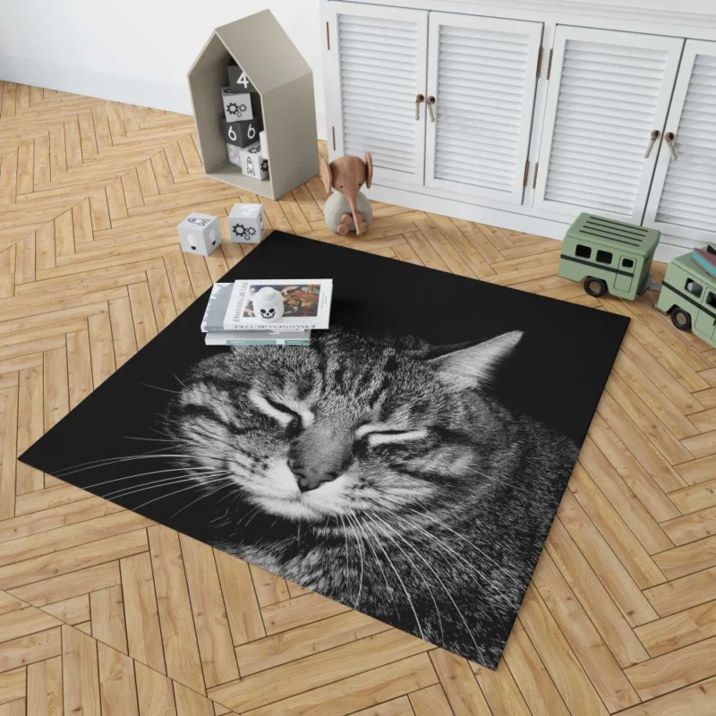 Playful Tabby Feline Joy Unveiled Rug 1