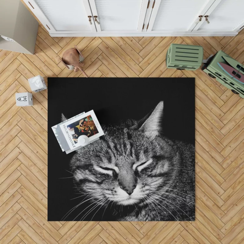 Playful Tabby Feline Joy Unveiled Rug