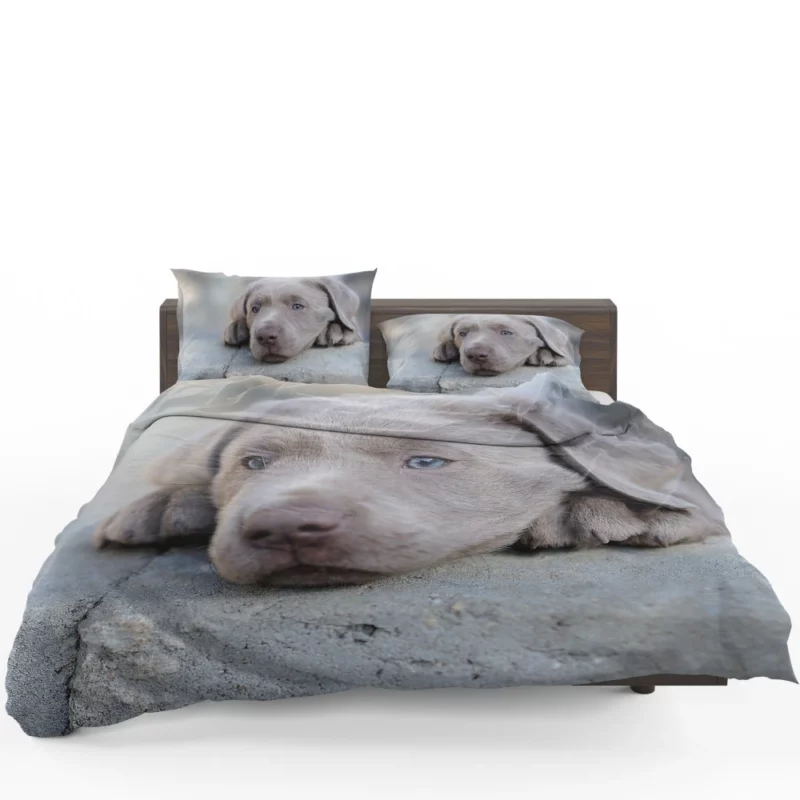 Playful Weimaraner Puppy Furry Joy Bedding Set