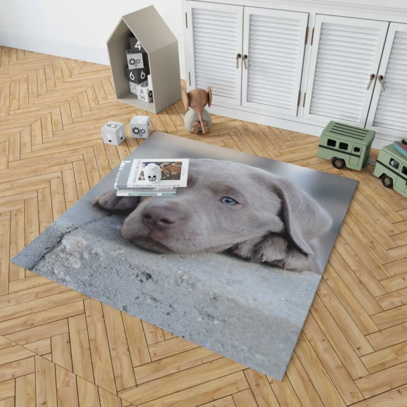 Playful Weimaraner Puppy Furry Joy Rug 1