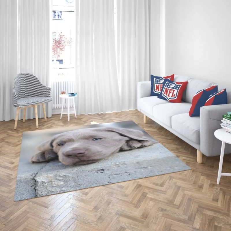 Playful Weimaraner Puppy Furry Joy Rug 2