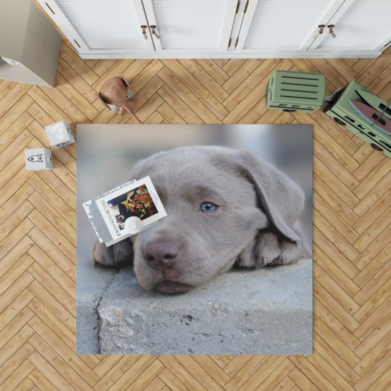 Playful Weimaraner Puppy Furry Joy Rug