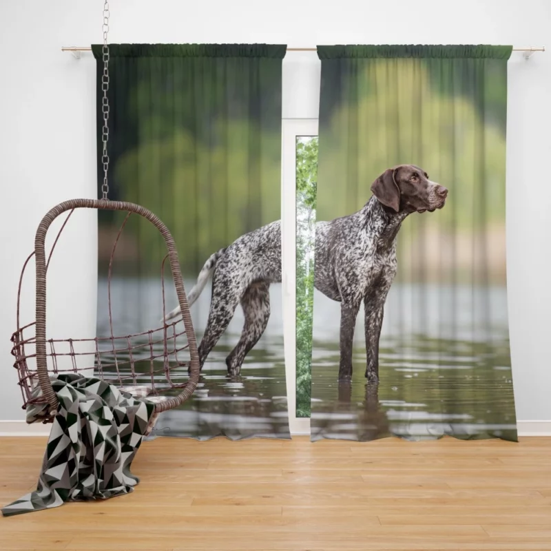 Pointer Snag Alert Canine Persona Curtain