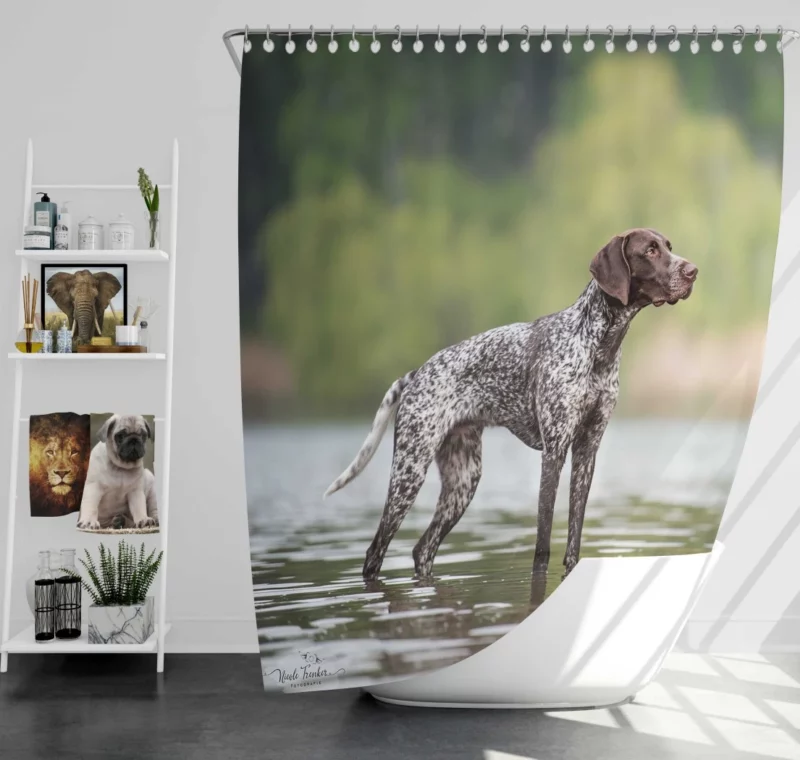 Pointer Snag Alert Canine Persona Shower Curtain