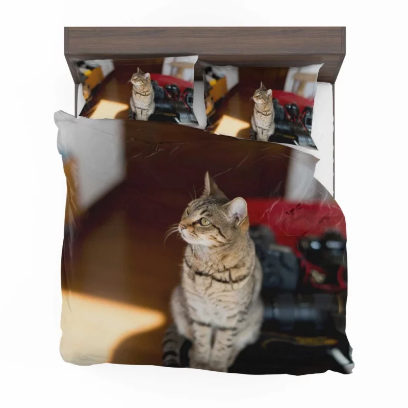 Polite Pause Feline Etiquette Bedding Set 1