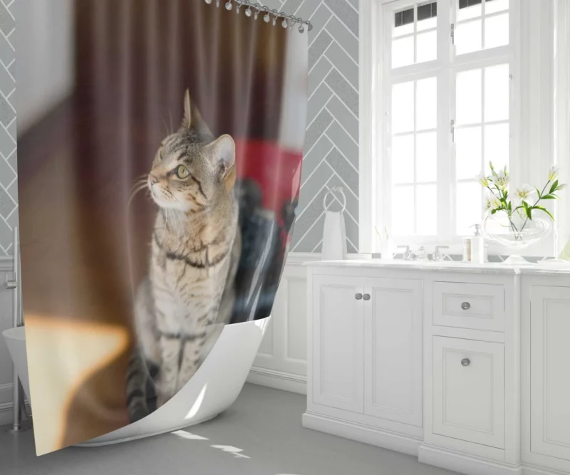 Polite Pause Feline Etiquette Shower Curtain 1