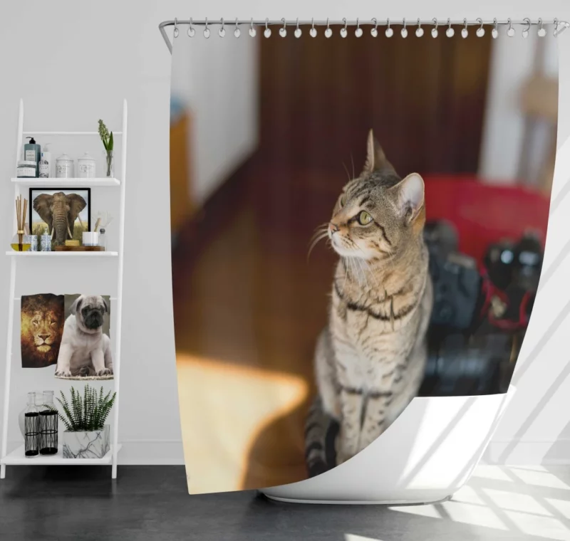 Polite Pause Feline Etiquette Shower Curtain