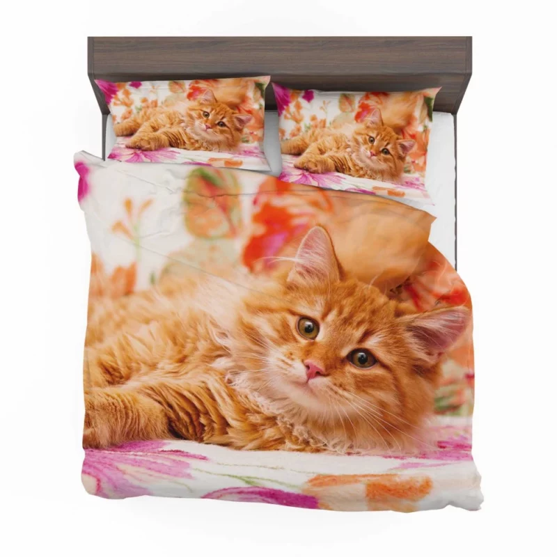 Pomeranian Pink Splendor Playful Charm Bedding Set 1