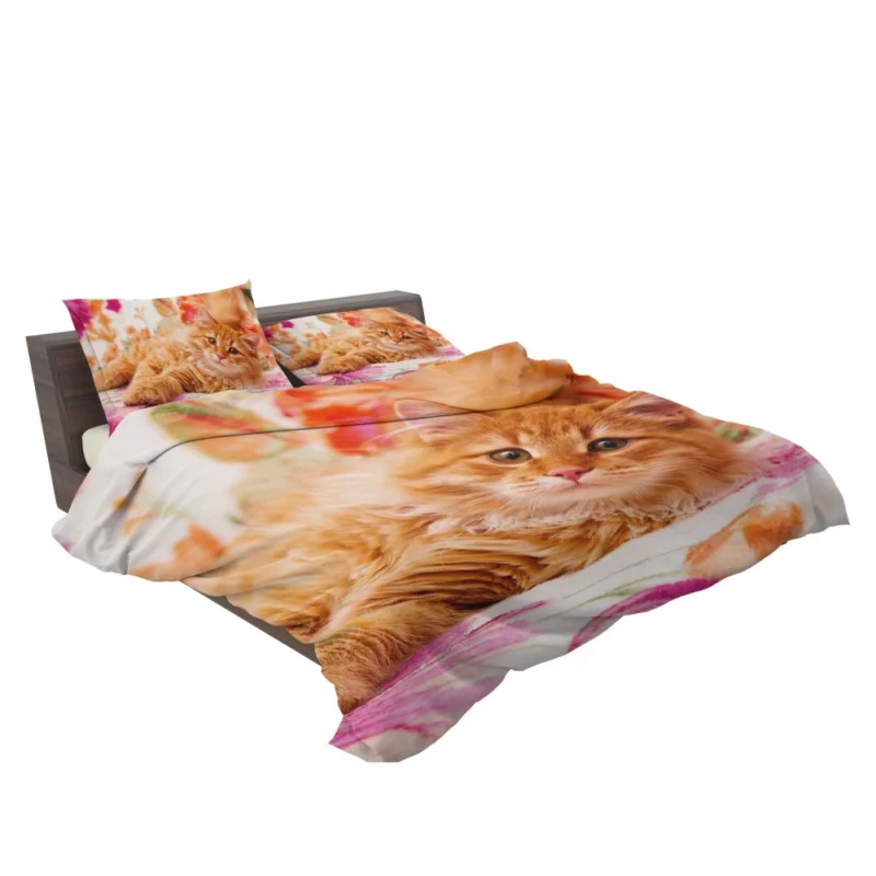 Pomeranian Pink Splendor Playful Charm Bedding Set 2