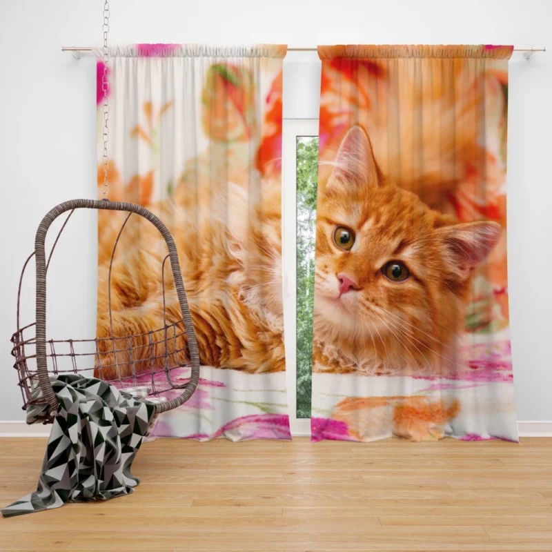 Pomeranian Pink Splendor Playful Charm Curtain