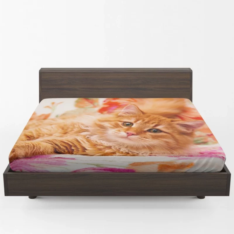 Pomeranian Pink Splendor Playful Charm Fitted Sheet