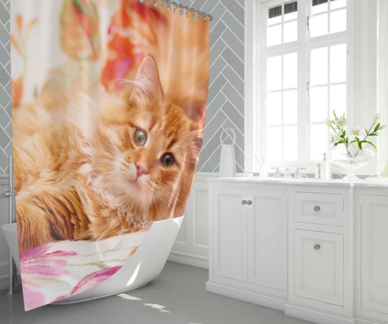 Pomeranian Pink Splendor Playful Charm Shower Curtain 1