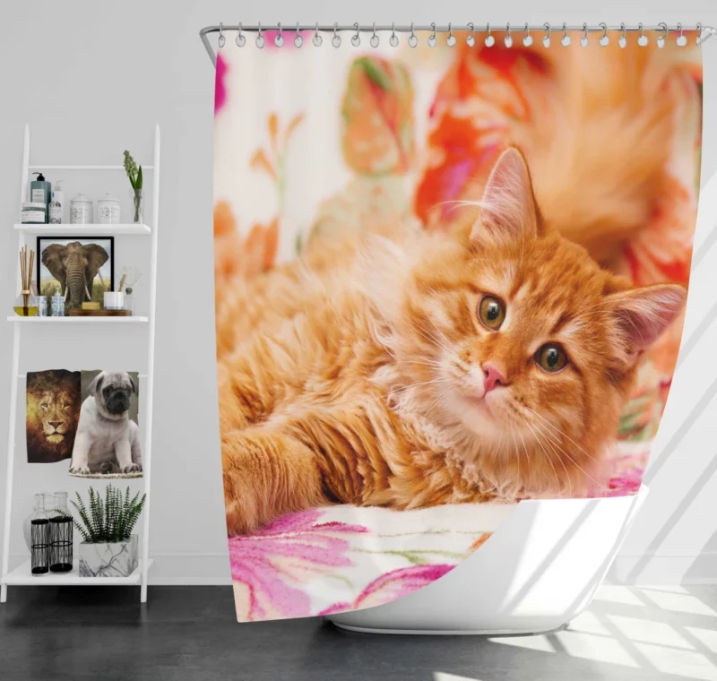 Pomeranian Pink Splendor Playful Charm Shower Curtain