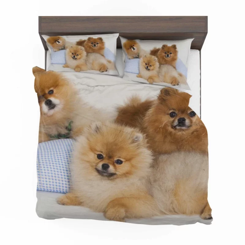 Pomeranian Playful Charm Bedding Set 1