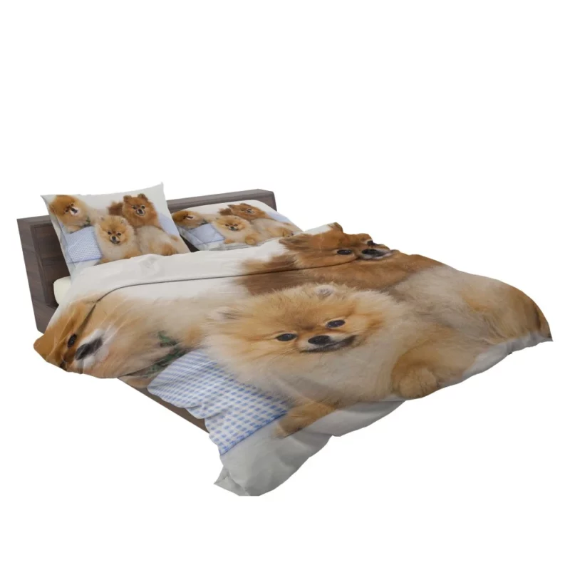 Pomeranian Playful Charm Bedding Set 2