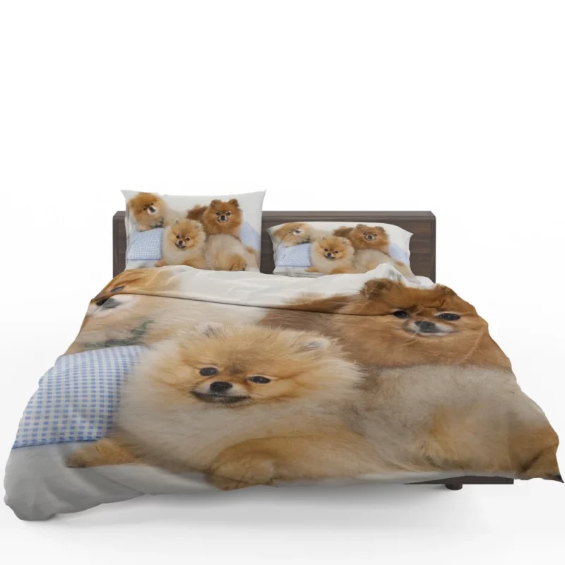 Pomeranian Playful Charm Bedding Set