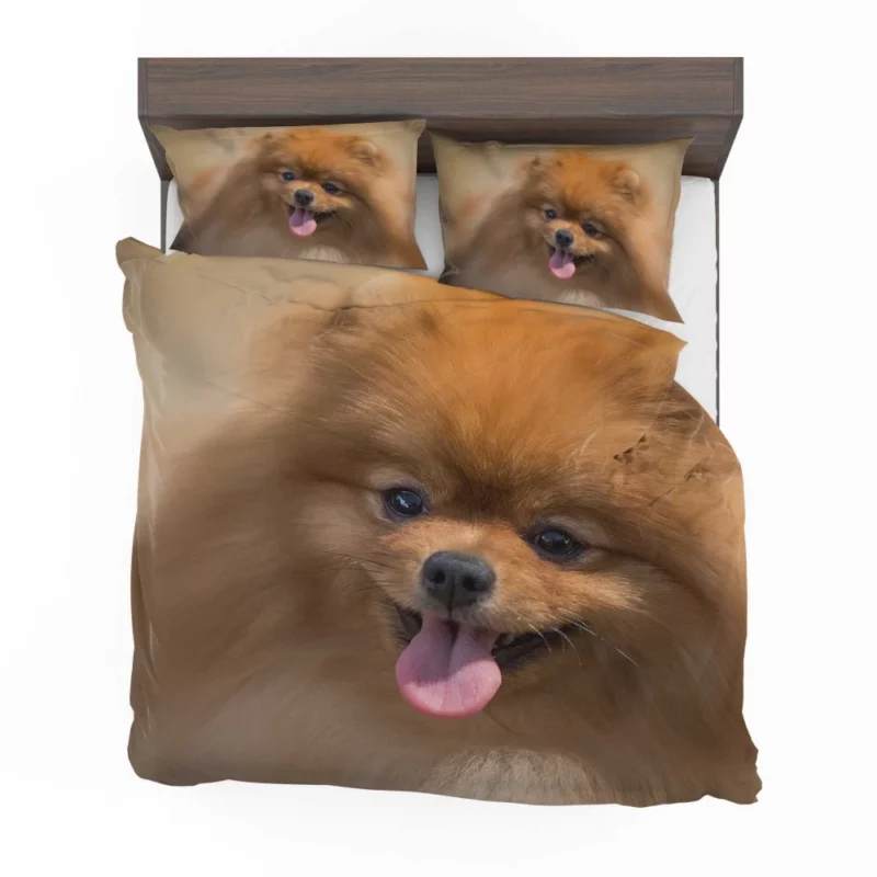 Pomeranian Playful Charm Furry Antics Bedding Set 1