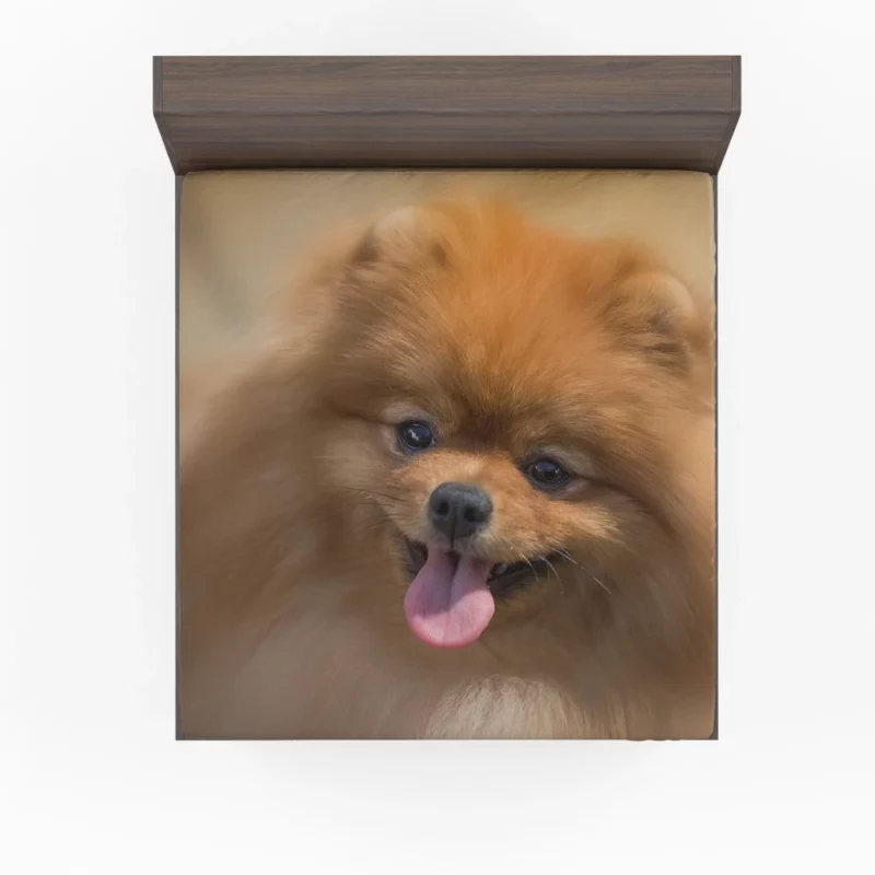 Pomeranian Playful Charm Furry Antics Fitted Sheet 1