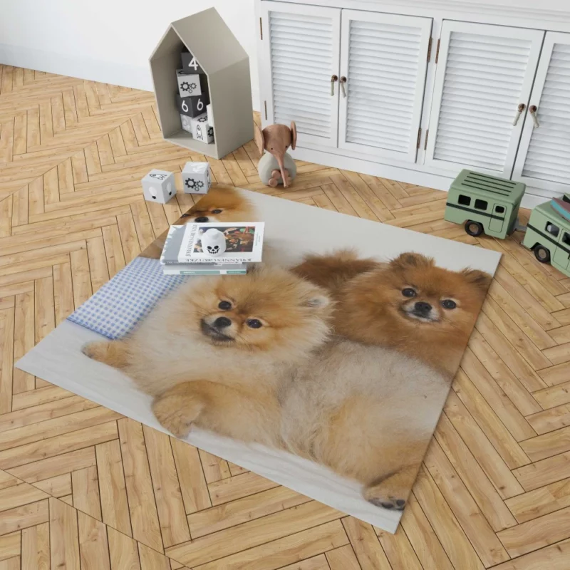 Pomeranian Playful Charm Rug 1